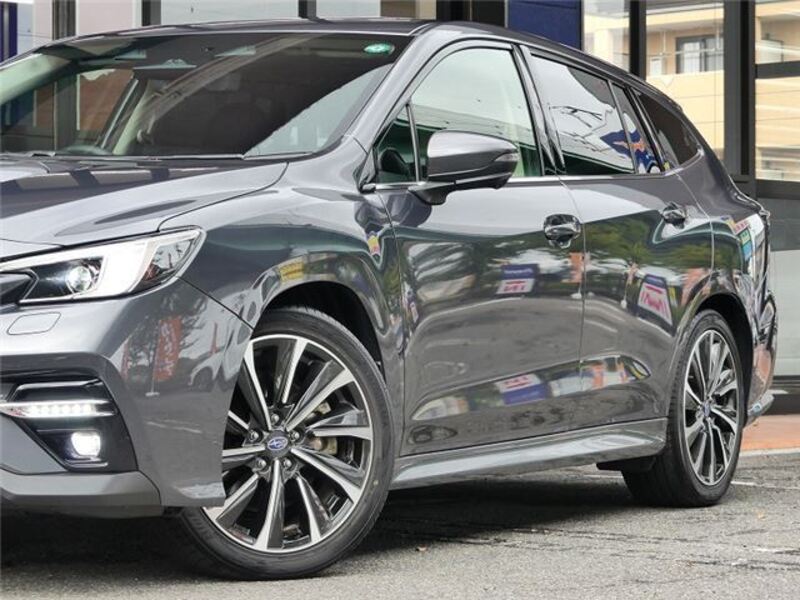 LEVORG