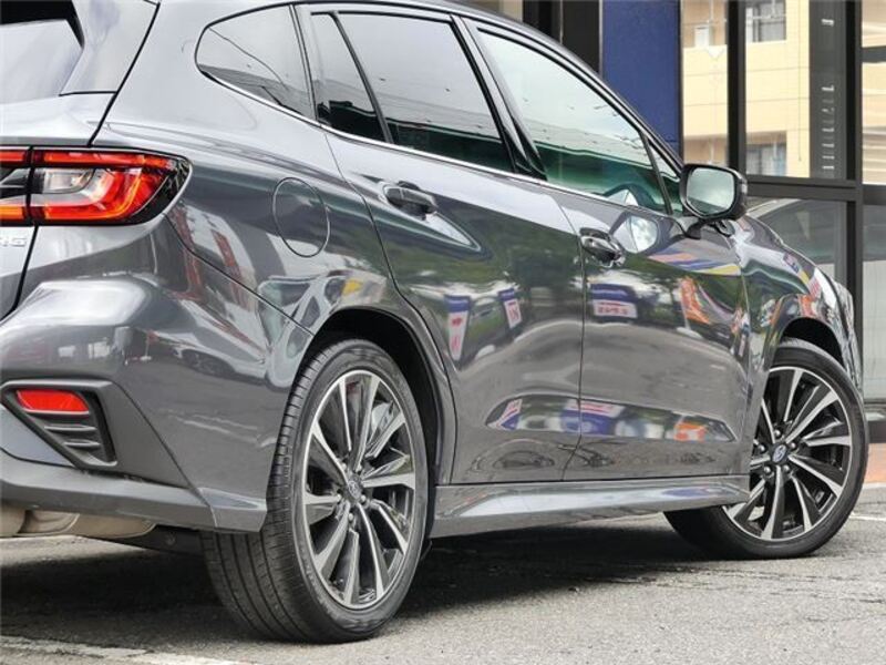LEVORG