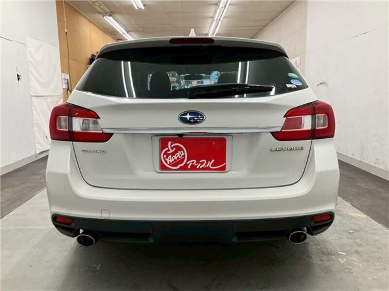 LEVORG