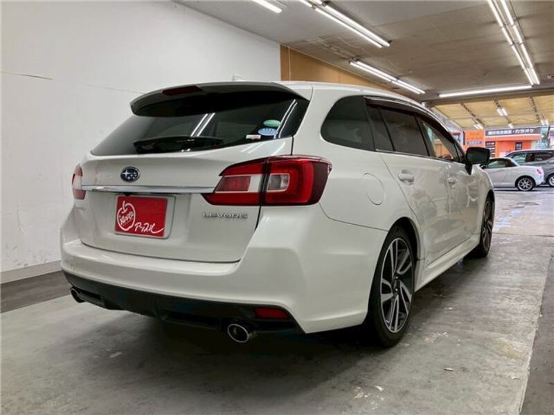 LEVORG
