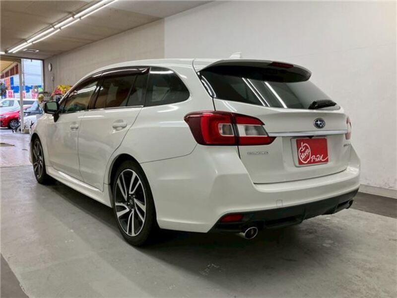 LEVORG