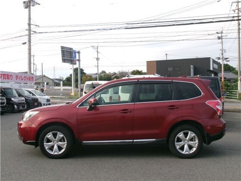 FORESTER