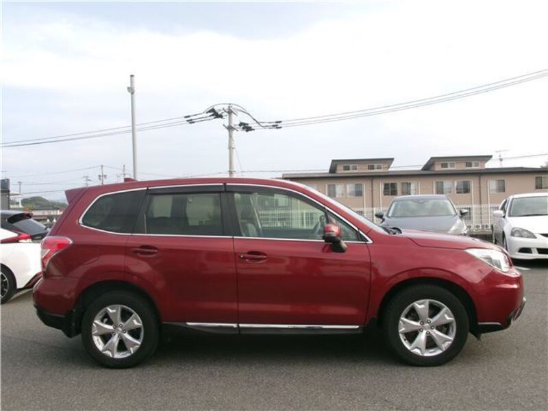 FORESTER