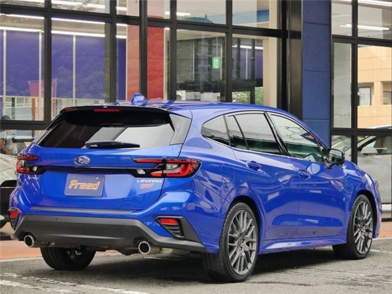 LEVORG