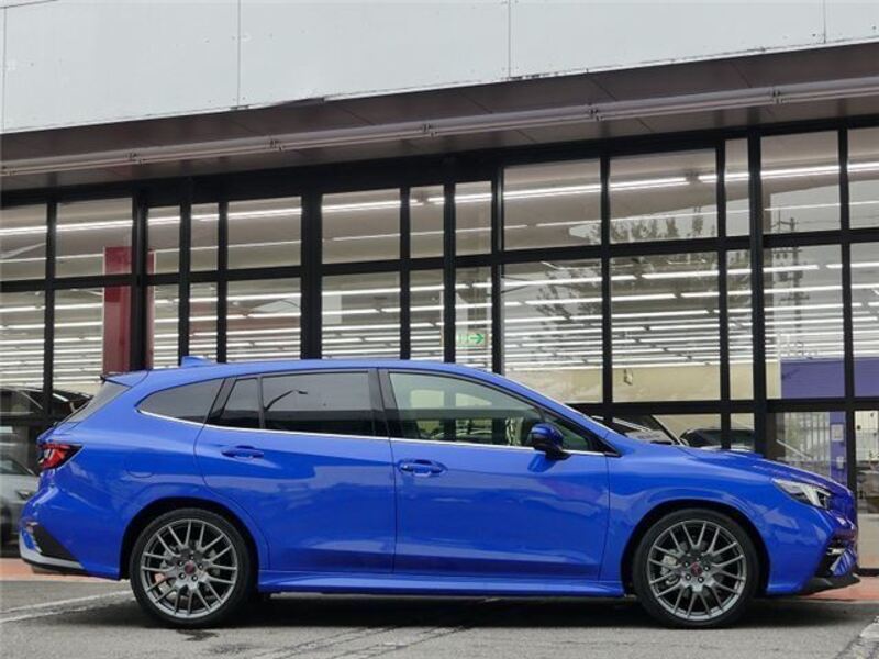 LEVORG