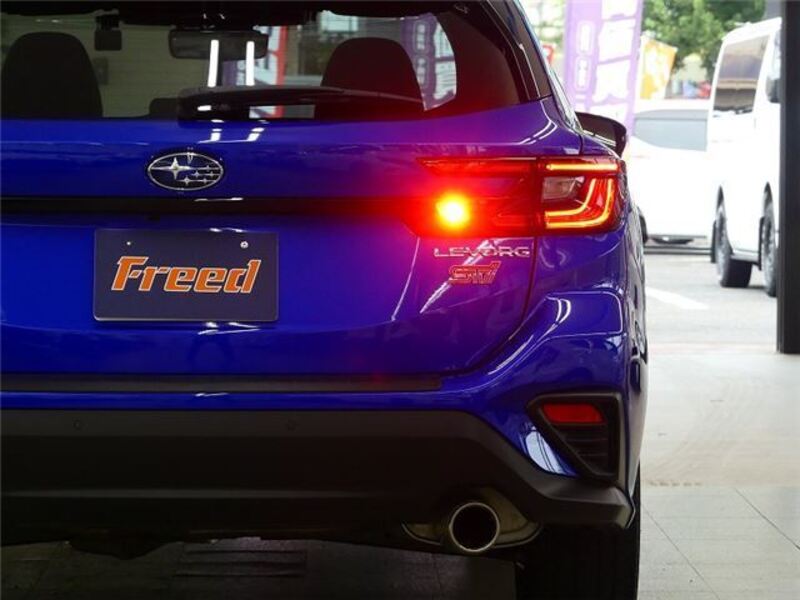 LEVORG