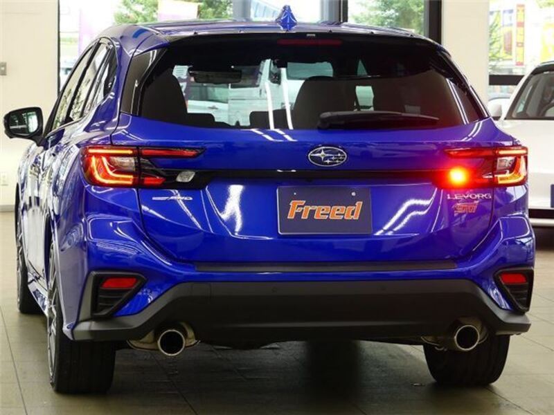 LEVORG