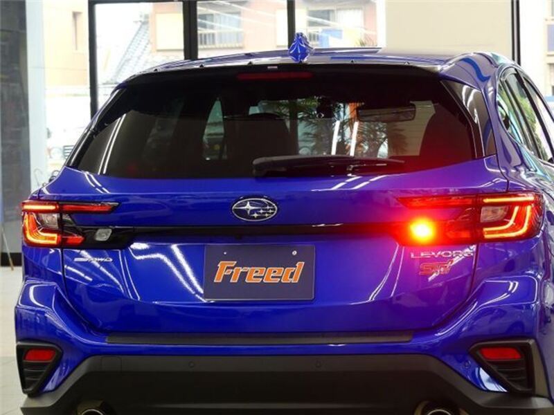 LEVORG