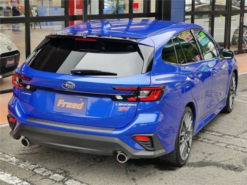 LEVORG