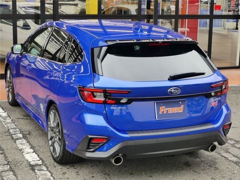 LEVORG
