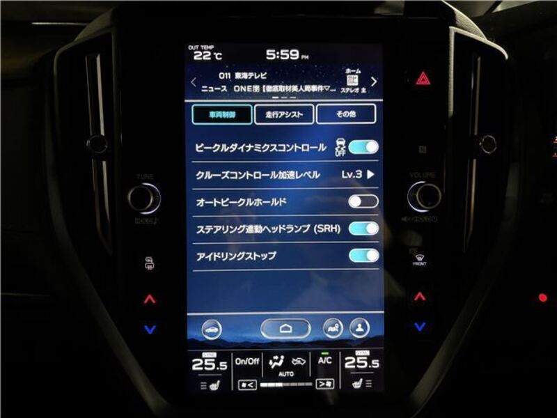 LEVORG