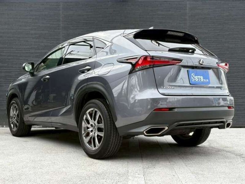 NX