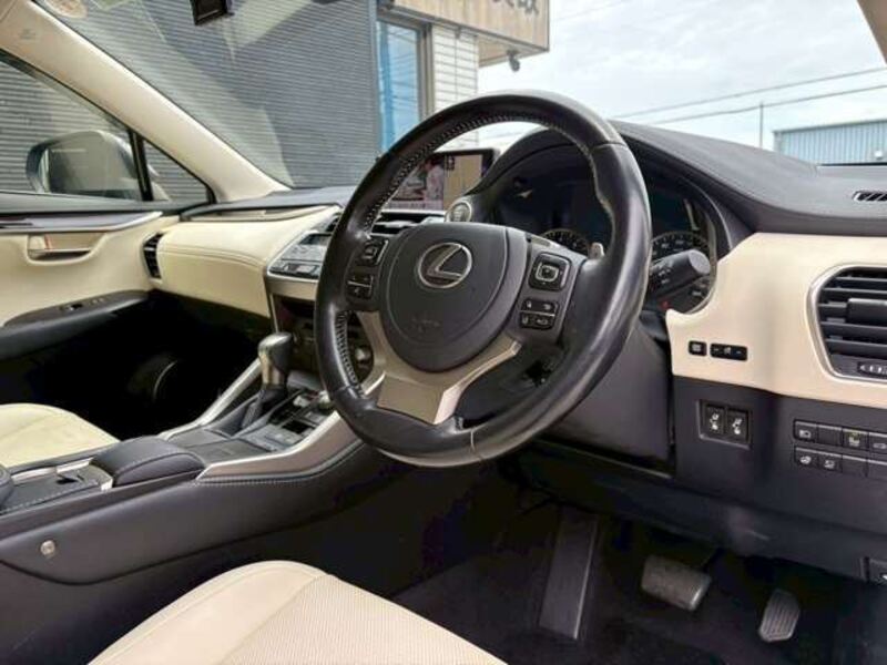 NX