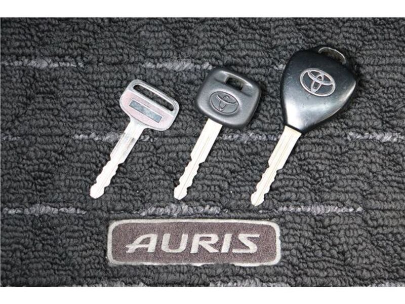 AURIS
