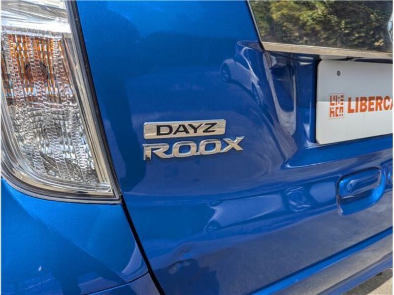 DAYZ ROOX