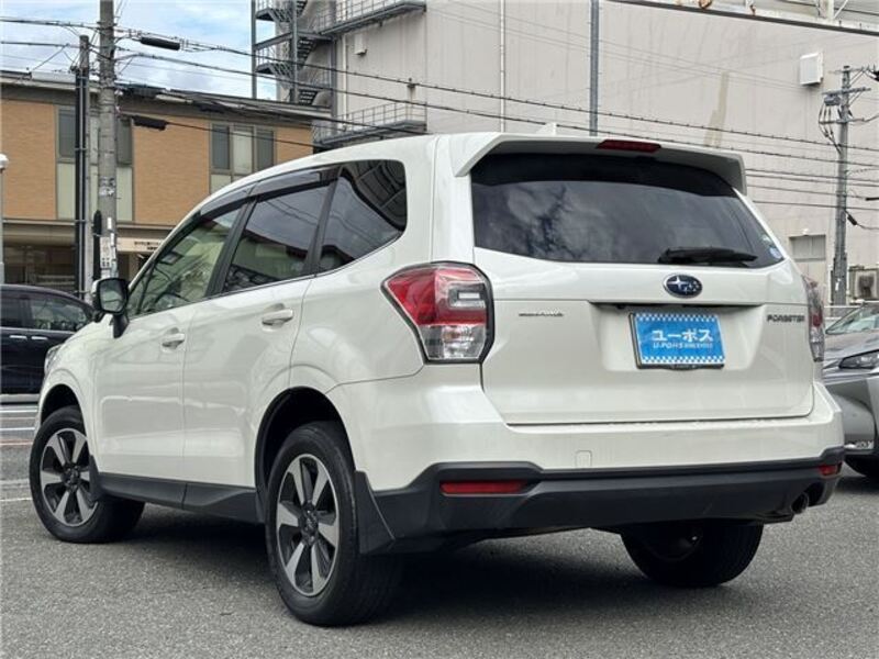 FORESTER