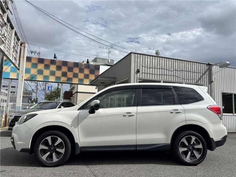 FORESTER