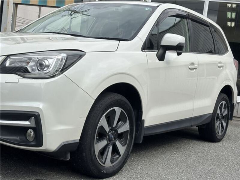 FORESTER