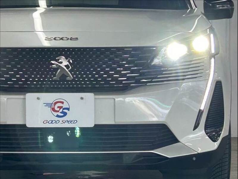 3008
