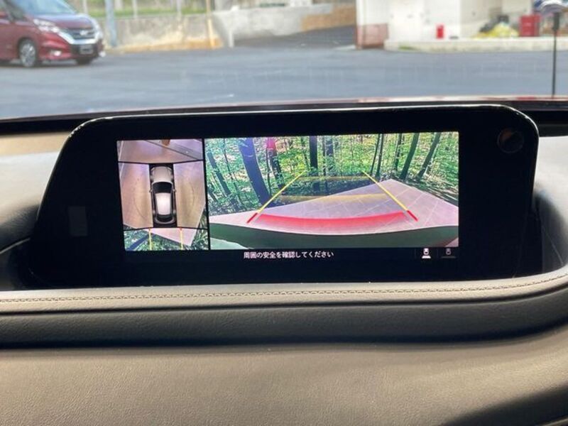 CX-30