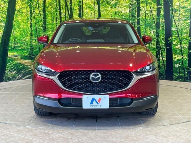 CX-30