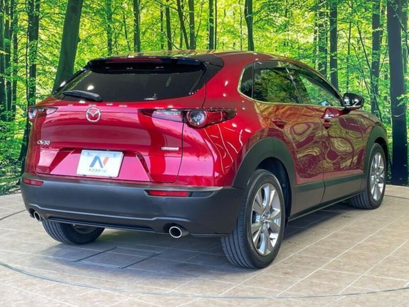 CX-30