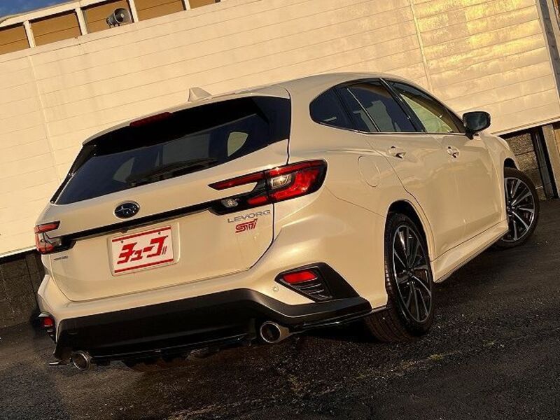LEVORG