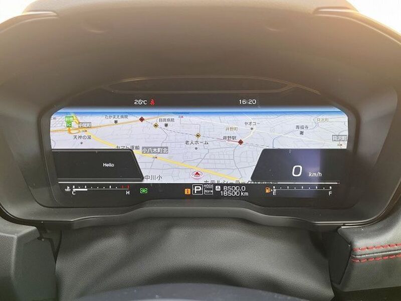 LEVORG