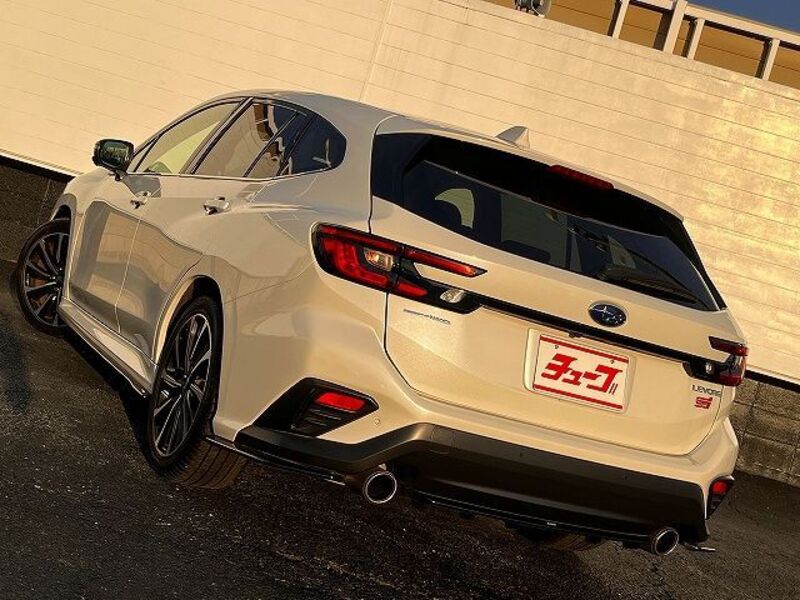 LEVORG
