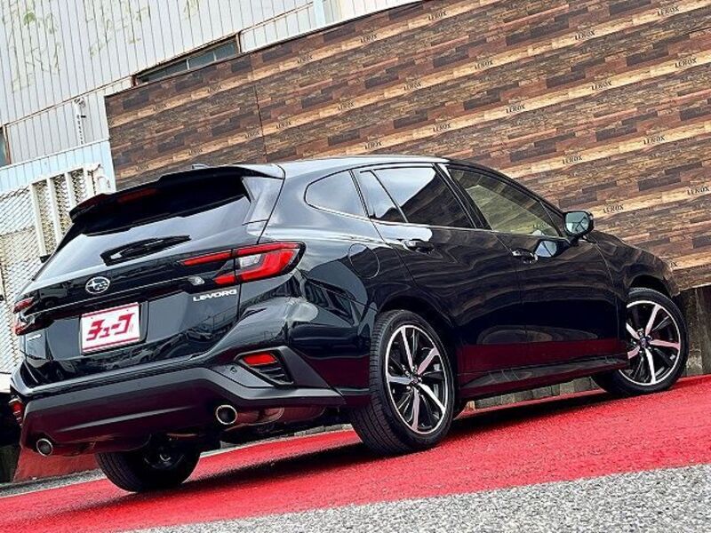 LEVORG