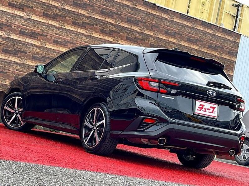 LEVORG