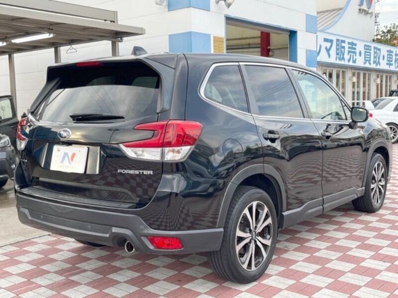 FORESTER