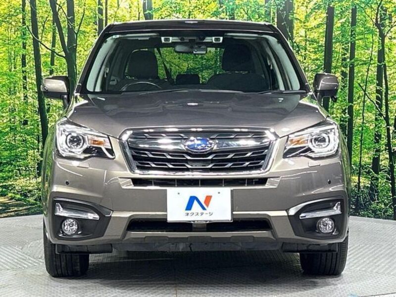 FORESTER