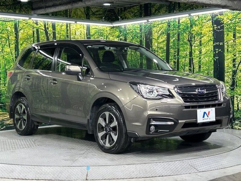 FORESTER