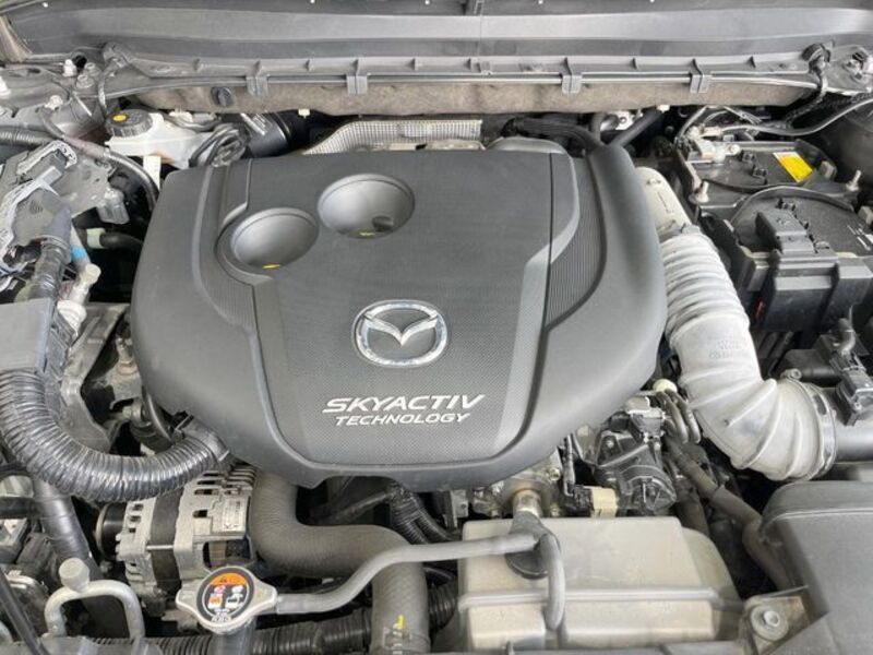 CX-8
