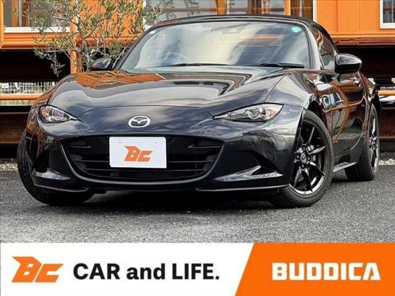 ROADSTER-0