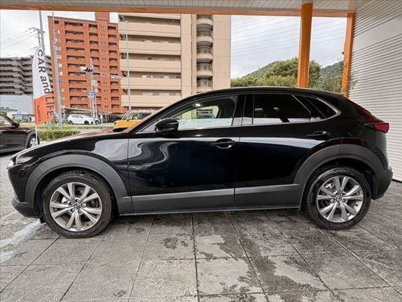 CX-30