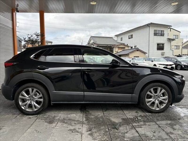 CX-30