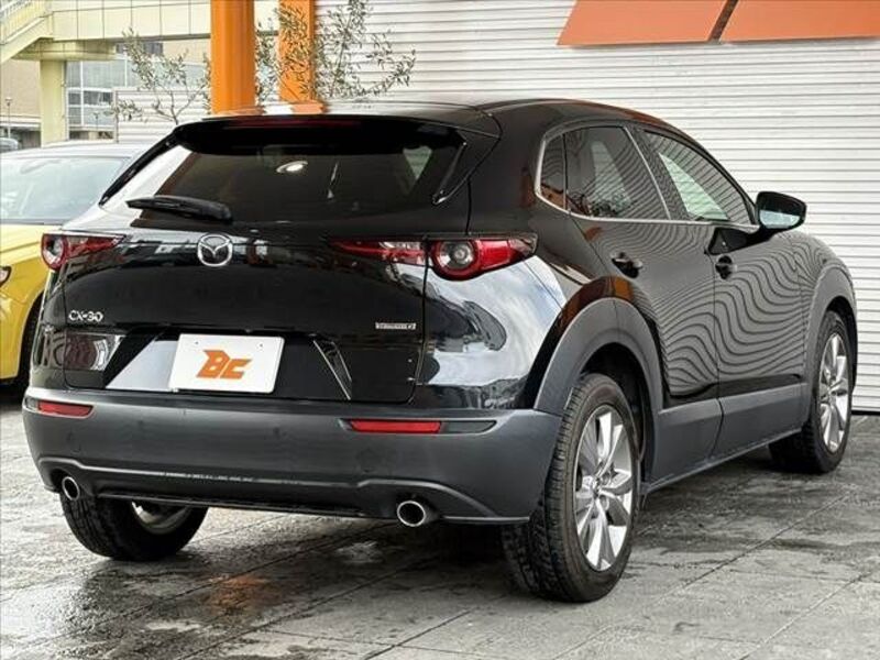 CX-30