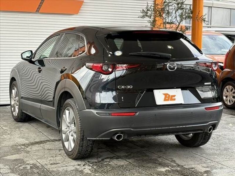 CX-30