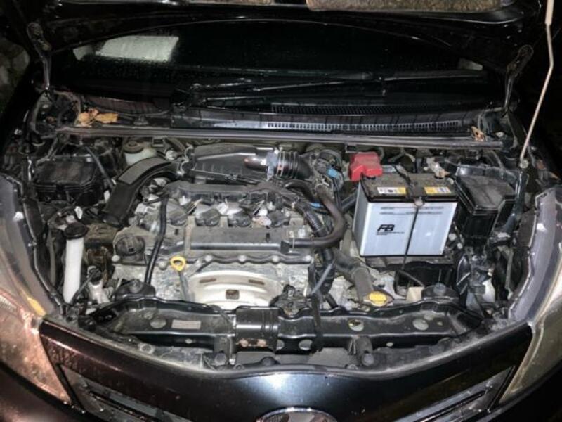 VITZ