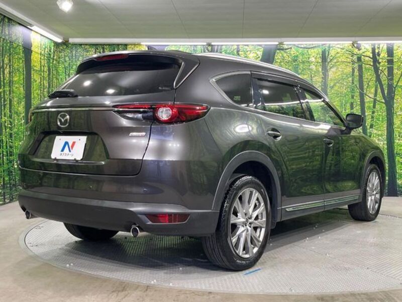 CX-8