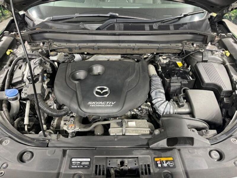 CX-8