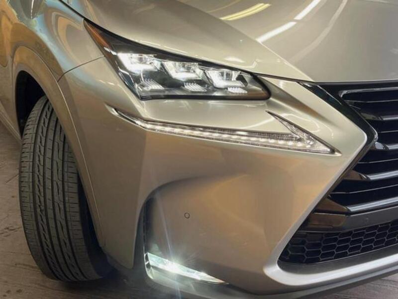 NX