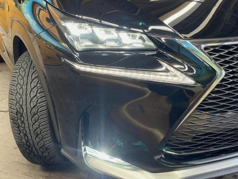 NX