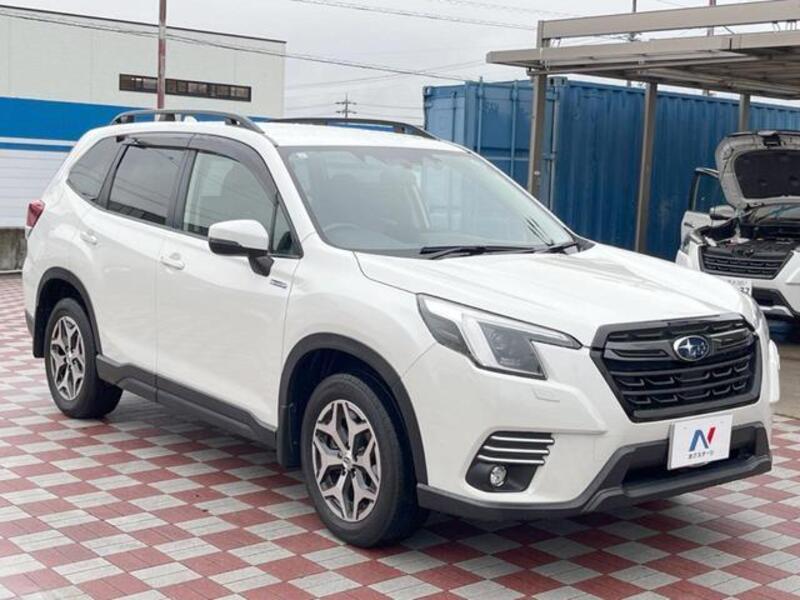 FORESTER