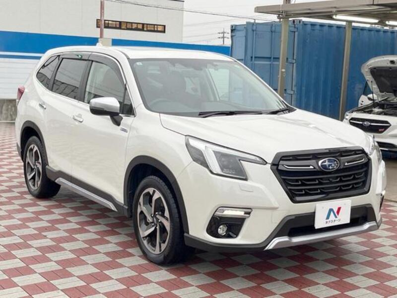 FORESTER