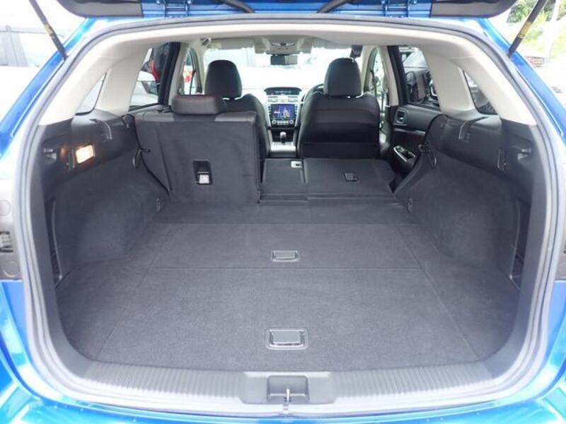 LEVORG