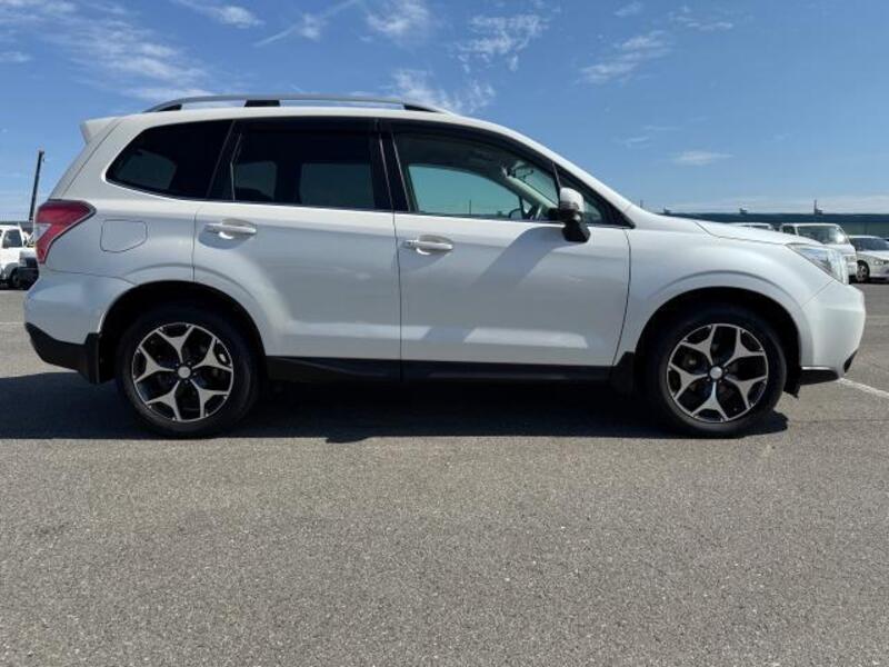 FORESTER
