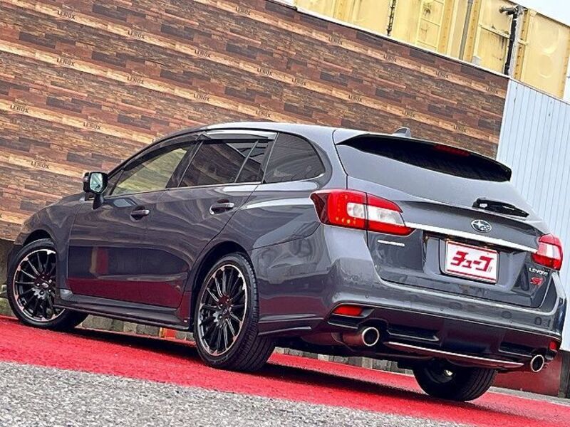 LEVORG
